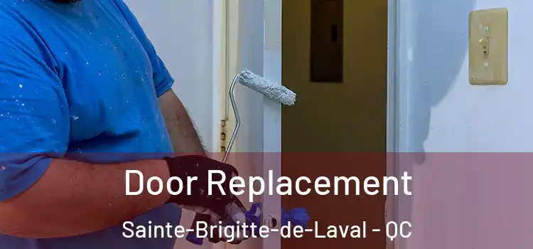  Door Replacement Sainte-Brigitte-de-Laval - QC