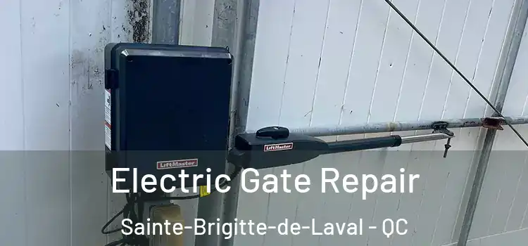 Electric Gate Repair Sainte-Brigitte-de-Laval - QC