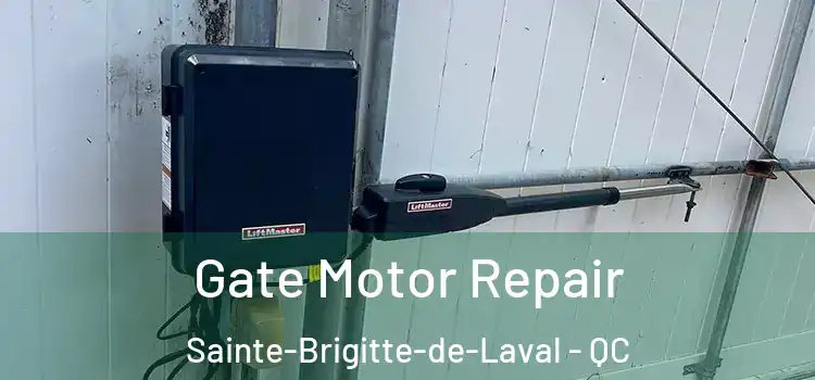 Gate Motor Repair Sainte-Brigitte-de-Laval - QC