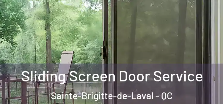 Sliding Screen Door Service Sainte-Brigitte-de-Laval - QC